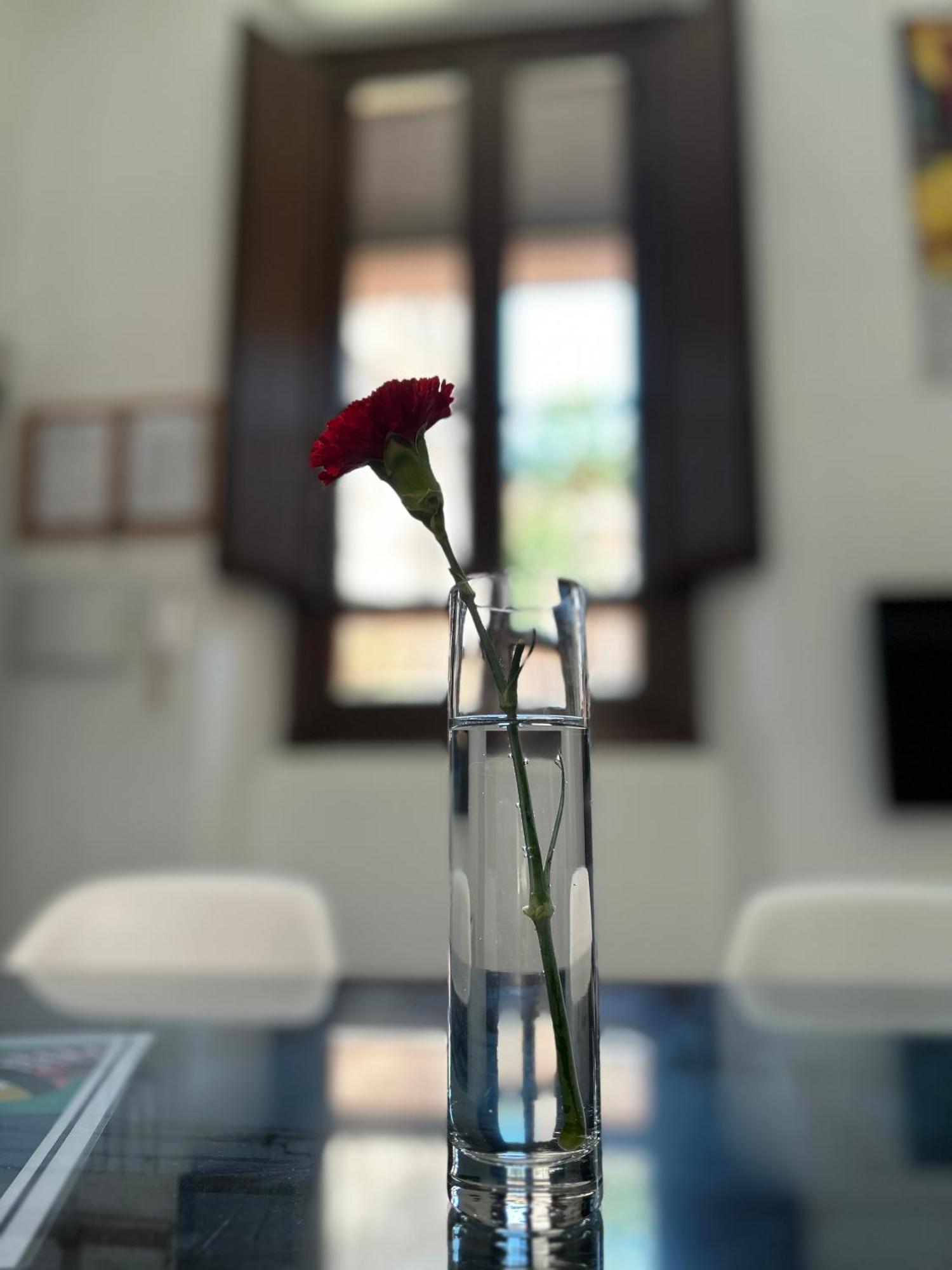 Romanilla Loft กรานาดา ภายนอก รูปภาพ